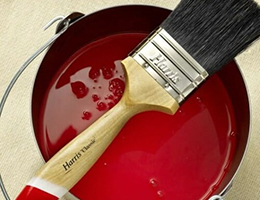 Краска и покрытие